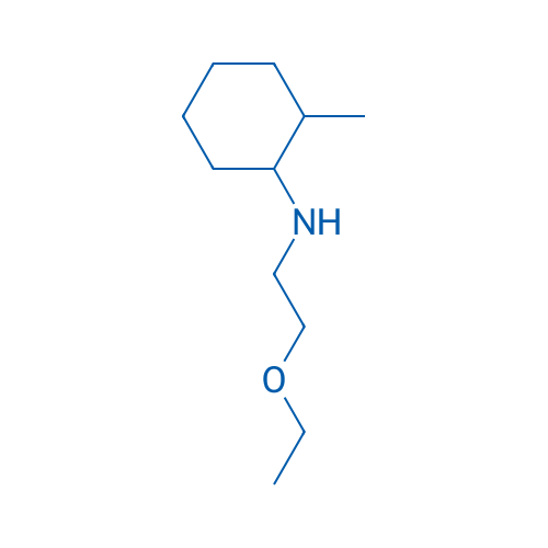 N-(2-Ethoxyethyl)-2-methylcyclohexan-1-amine 250mg