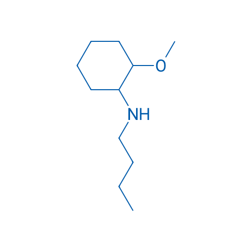 N-Butyl-2-methoxycyclohexan-1-amine 10g
