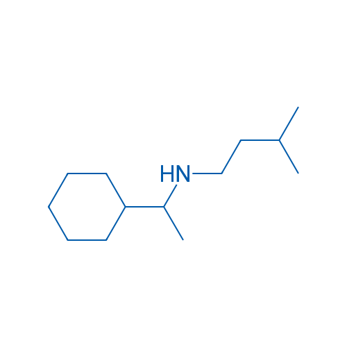 (1-Cyclohexylethyl)(3-methylbutyl)amine 1g