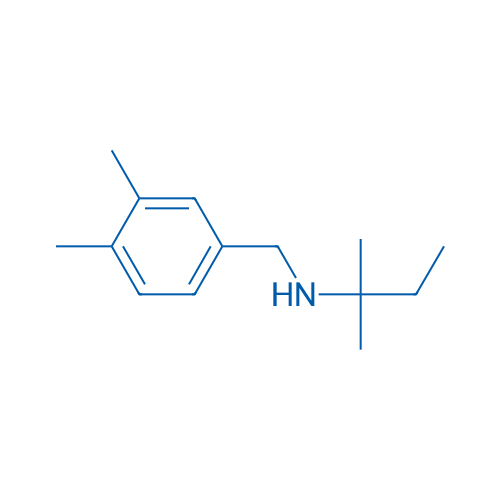 [(3,4-Dimethylphenyl)methyl](2-methylbutan-2-yl)amine 1g