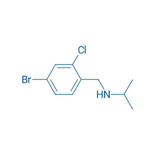 [(4-Bromo-2-chlorophenyl)methyl](propan-2-yl)amine 1g