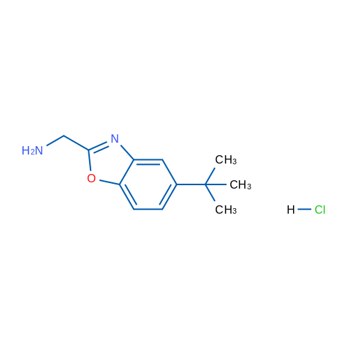 (5-(tert-Butyl)benzo[d]oxazol-2-yl)methanamine hydrochloride 1g