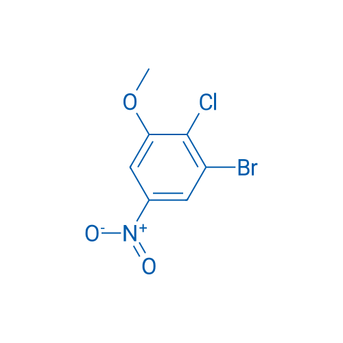 1-Bromo-2-chloro-3-methoxy-5-nitrobenzene 1g