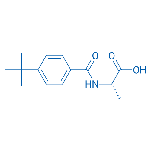 (2S)-2-[(4-tert-Butylphenyl)formamido]propanoic acid 1g