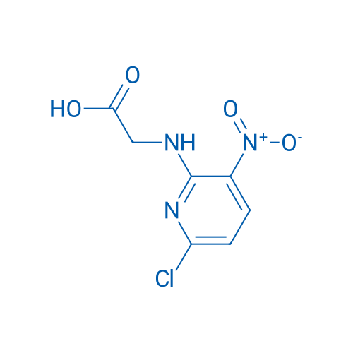 2-[(6-Chloro-3-nitropyridin-2-yl)amino]acetic acid 1g