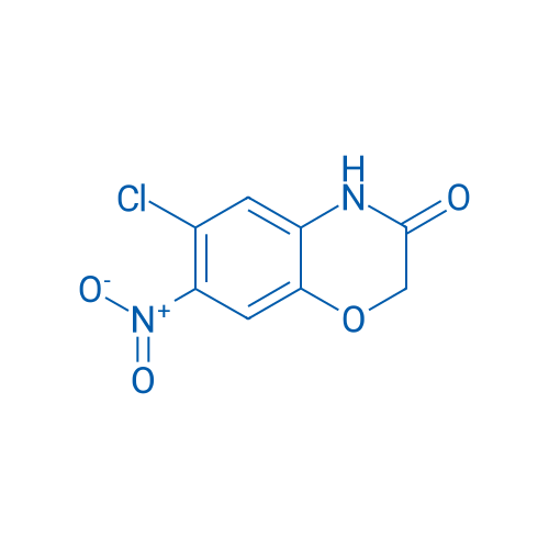 6-Chloro-7-nitro-2H-benzo[b][1,4]oxazin-3(4H)-one 250mg