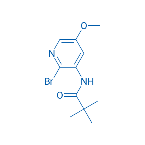 N-(2-Bromo-5-methoxypyridin-3-yl)pivalamide 1g