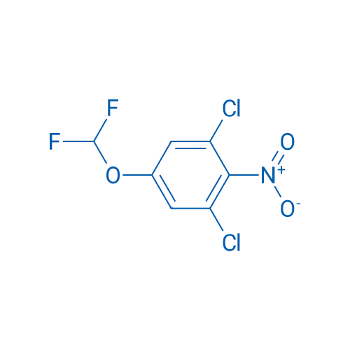 1,3-Dichloro-5-(difluoromethoxy)-2-nitrobenzene 1g