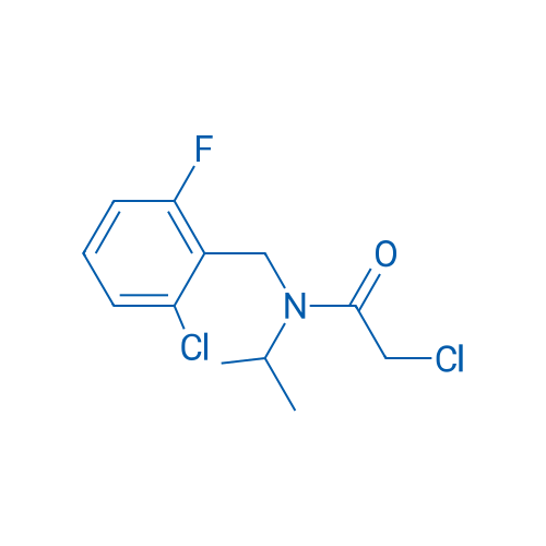2-Chloro-N-(2-chloro-6-fluorobenzyl)-N-isopropylacetamide 1g