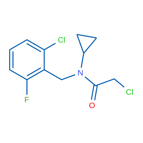 2-Chloro-N-(2-chloro-6-fluorobenzyl)-N-cyclopropylacetamide 1g