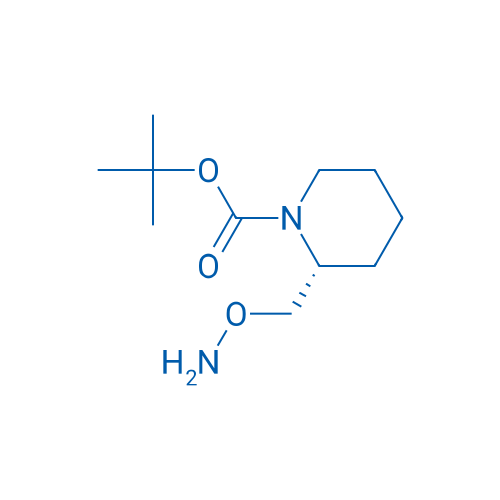 tert-Butyl (2R)-2-[(aminooxy)methyl]piperidine-1-carboxylate 1g