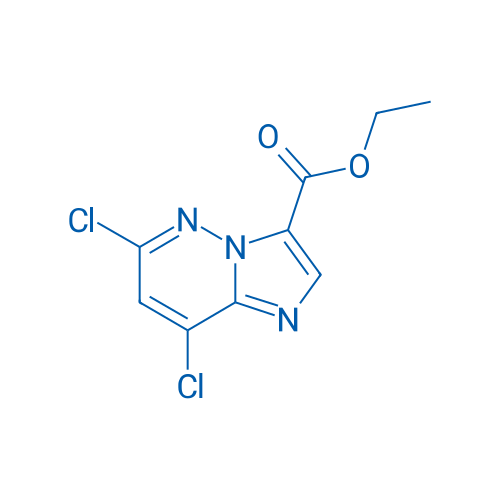Ethyl 6,8-dichloroimidazo[1,2-b]pyridazine-3-carboxylate 1g