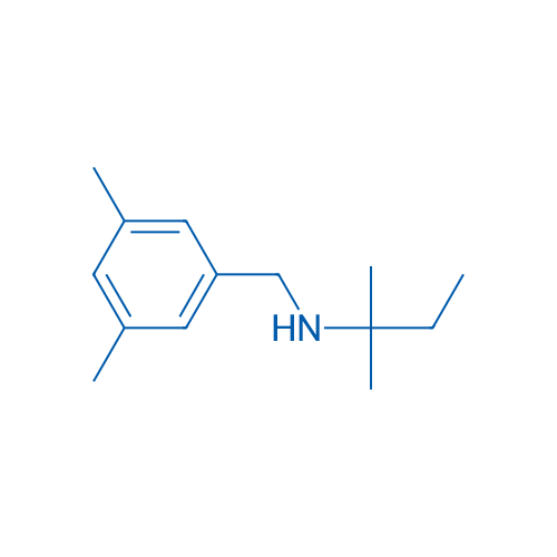 [(3,5-Dimethylphenyl)methyl](2-methylbutan-2-yl)amine 5g