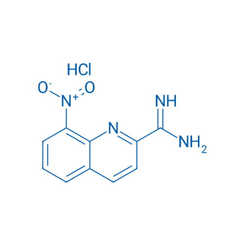 8-Nitroquinoline-2-carboximidamide hydrochloride 1g