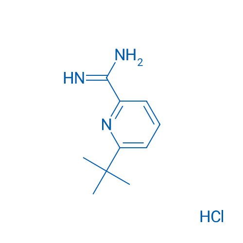 6-(tert-Butyl)picolinimidamide hydrochloride 1g