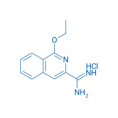 1-Ethoxyisoquinoline-3-carboximidamide hydrochloride 1g
