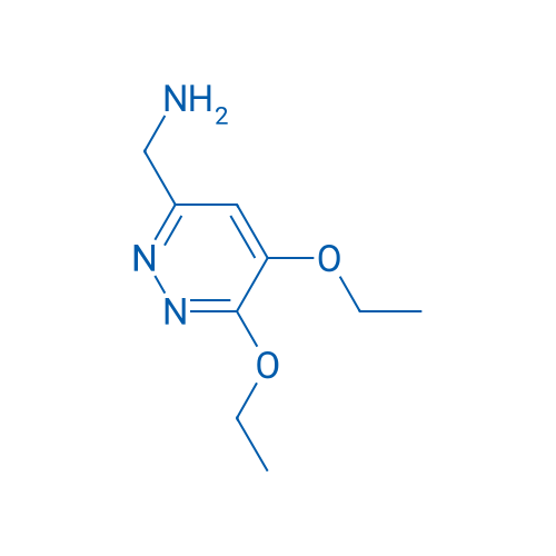(5,6-Diethoxypyridazin-3-yl)methanamine 1g