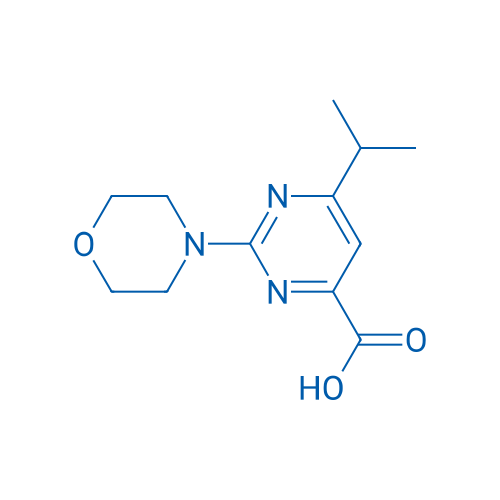6-Isopropyl-2-morpholinopyrimidine-4-carboxylic acid 1g