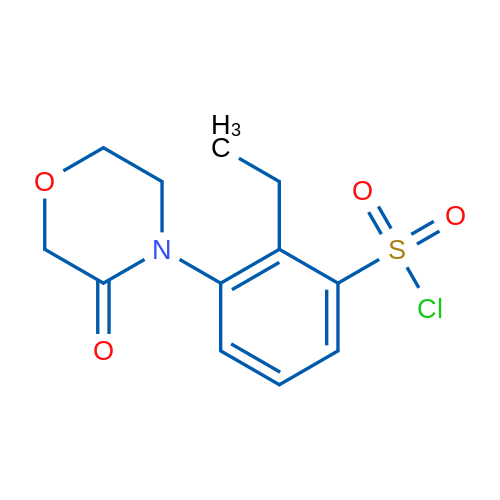 2-Ethyl-3-(3-oxomorpholino)benzene-1-sulfonyl chloride 1g