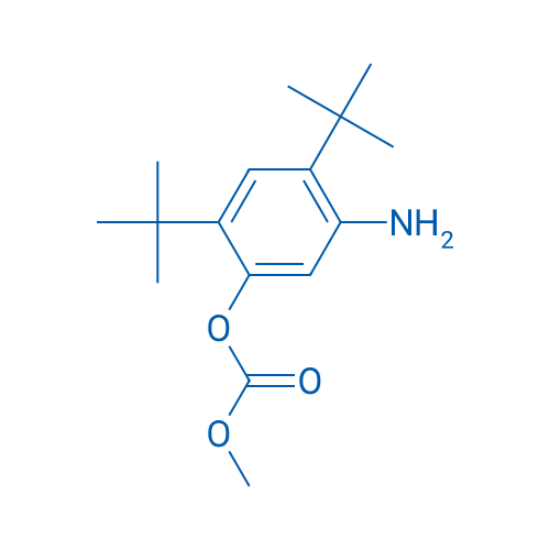 5-Amino-2,4-di-tert-butylphenyl methyl carbonate 100mg