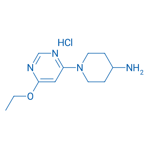 1-(6-Ethoxypyrimidin-4-yl)piperidin-4-amine hydrochloride 1g