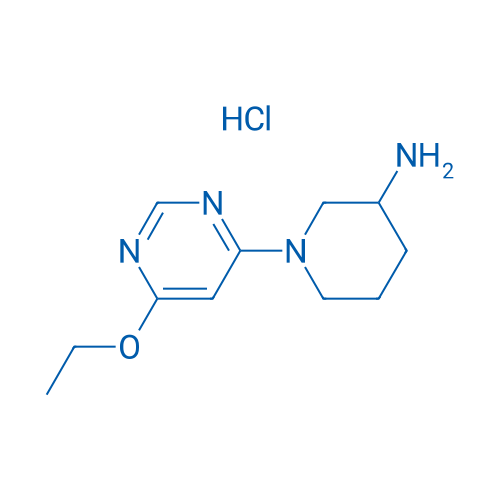 1-(6-Ethoxypyrimidin-4-yl)piperidin-3-amine hydrochloride 1g