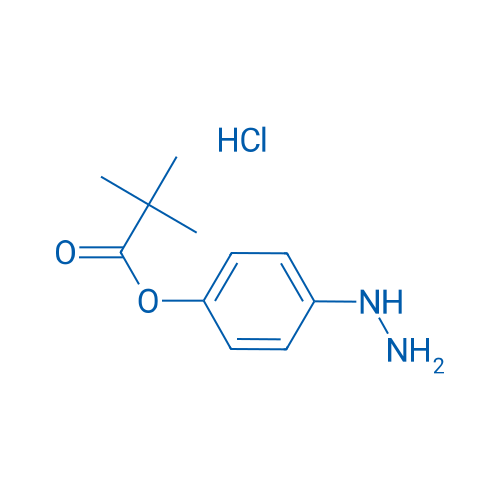 4-Hydrazinylphenyl pivalate hydrochloride 100mg