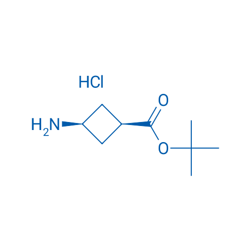 cis-tert-Butyl 3-aminocyclobutanecarboxylate hydrochloride 100mg