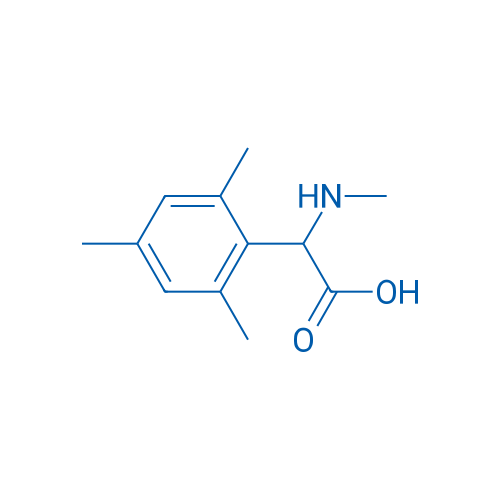 2-Mesityl-2-(methylamino)acetic acid 1g