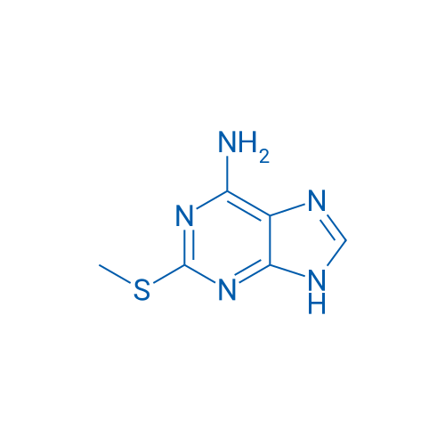 2-(Methylthio)-9H-purin-6-amine 250mg
