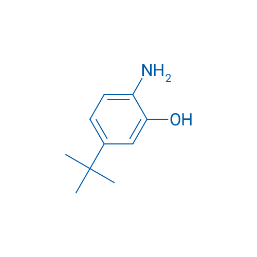 2-Amino-5-tert-butylphenol 100mg
