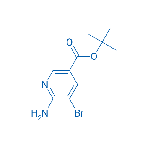 tert-Butyl 6-amino-5-bromonicotinate 1g