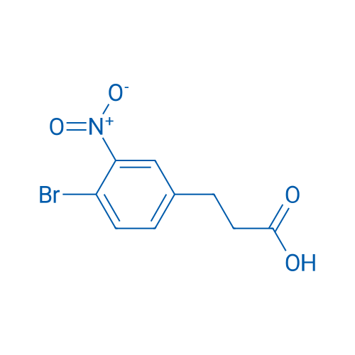 3-(4-Bromo-3-nitrophenyl)propanoic acid 1g