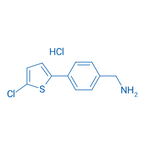 (4-(5-Chlorothiophen-2-yl)phenyl)methanamine hydrochloride 1g