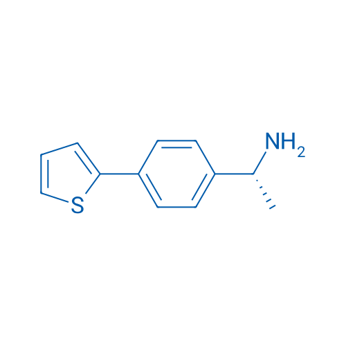 (1R)-1-[4-(Thiophen-2-yl)phenyl]ethan-1-amine 1g