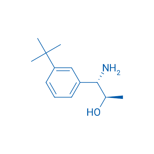 (1S,2R)-1-AMINO-1-[3-(TERT-BUTYL)PHENYL]PROPAN-2-OL 1g