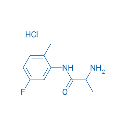 2-Amino-N-(5-fluoro-2-methylphenyl)propanamide hydrochloride 1g
