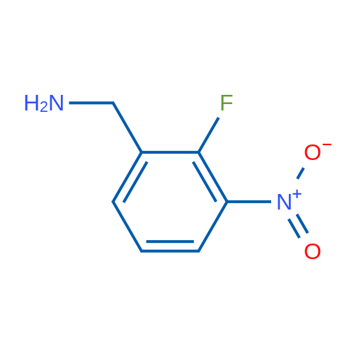 (2-Fluoro-3-nitrophenyl)methanamine 1g