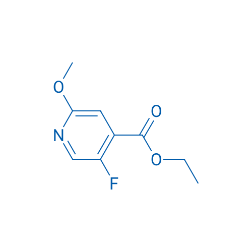 Ethyl 5-fluoro-2-methoxyisonicotinate 1g