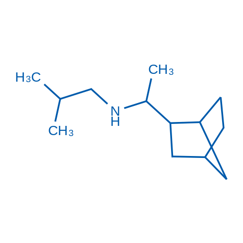 (1-{bicyclo[2.2.1]heptan-2-yl}ethyl)(2-methylpropyl)amine 10g