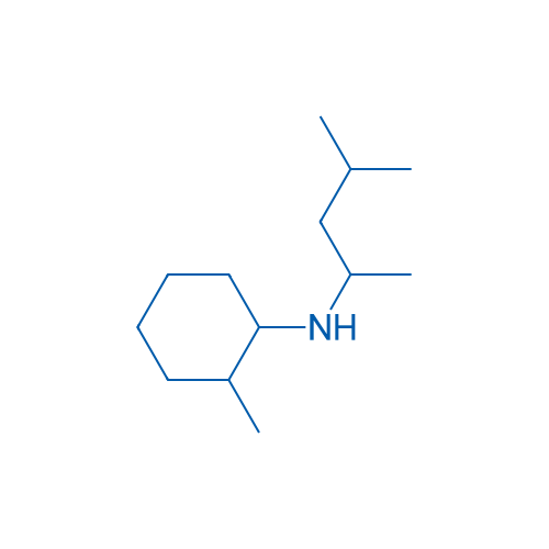 2-Methyl-N-(4-methylpentan-2-yl)cyclohexan-1-amine 10g