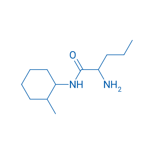 2-Amino-N-(2-methylcyclohexyl)pentanamide 100mg