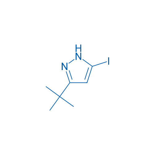 3-(tert-Butyl)-5-iodo-1H-pyrazole 25g