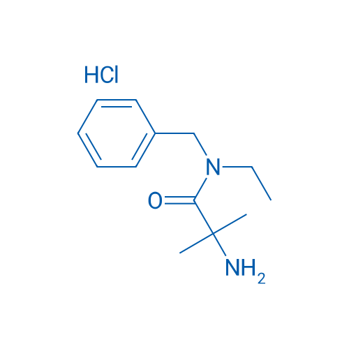 2-Amino-N-benzyl-N-ethyl-2-methylpropanamide hydrochloride 1g