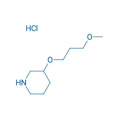 3-(3-Methoxypropoxy)piperidine hydrochloride 5g