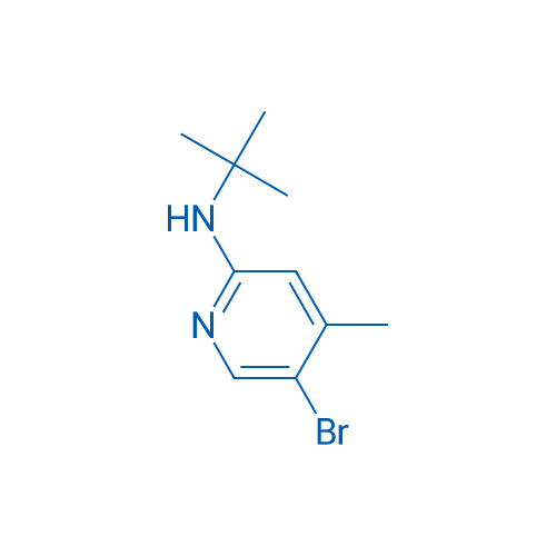 5-Bromo-N-(tert-butyl)-4-methylpyridin-2-amine 1g
