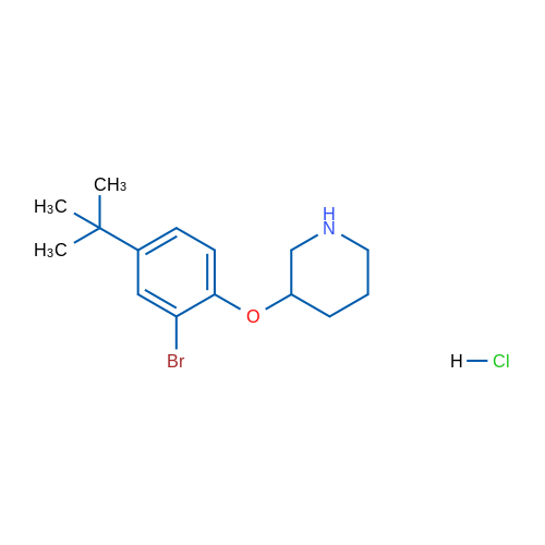 3-(2-Bromo-4-(tert-butyl)phenoxy)piperidine hydrochloride 1g