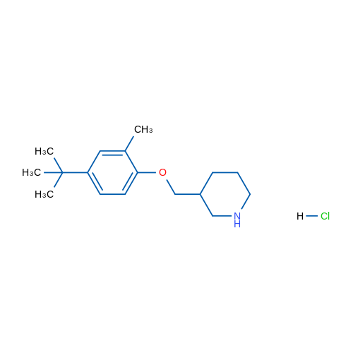 3-((4-(tert-Butyl)-2-methylphenoxy)methyl)piperidine hydrochloride 1g
