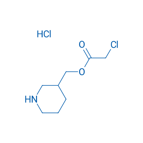 Piperidin-3-ylmethyl 2-chloroacetate hydrochloride 1g