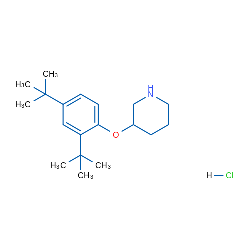 3-(2,4-Di-tert-butylphenoxy)piperidine hydrochloride 1g